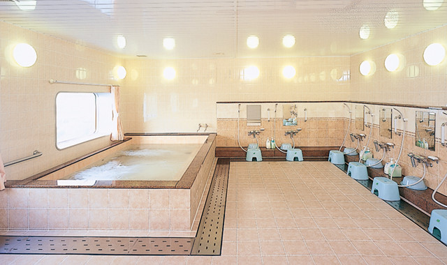 Public Bath and shower stall
